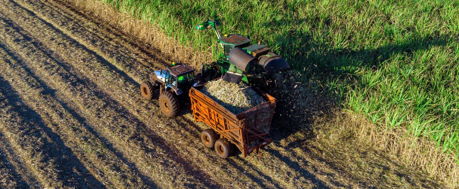 agco-rental-cliente-thompson-do-mercado-agricola-thompson-consultoria-em-gestao-empresarial