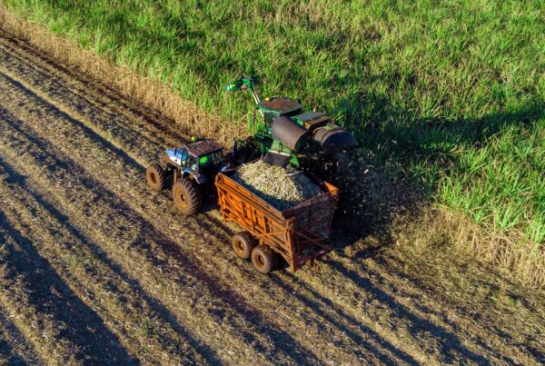 agco-rental-cliente-thompson-do-mercado-agricola-thompson-consultoria-em-gestao-empresarial