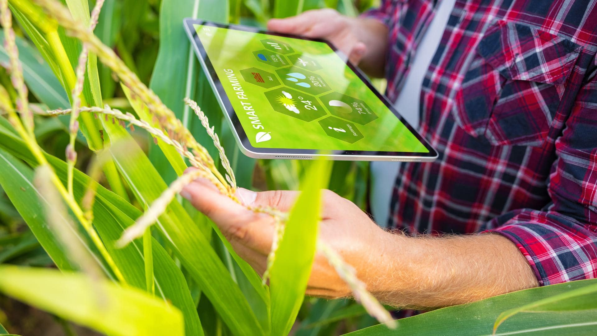 Thompson mapeia e avalia rede de distribuição Bayer